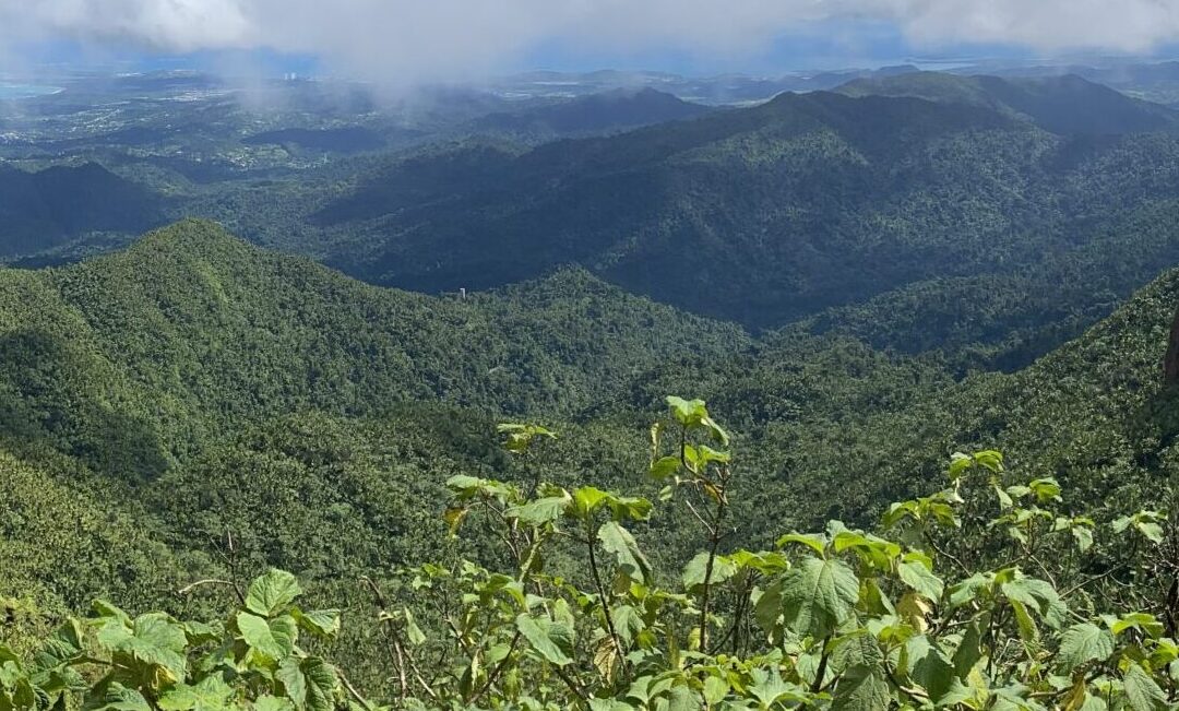 ANNABIS NATURAL HEMP PRODUCTS NOW IN THE CARIBBEAN