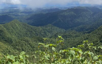 ANNABIS NATURAL HEMP PRODUCTS NOW IN THE CARIBBEAN
